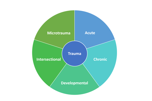 A visual of the Holistic Trauma Classification Model (HTCM). Pieces include Acute, Chronic, Developmental, Intersectional, and Microtrauma.